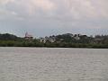 25 - Mangrove 068